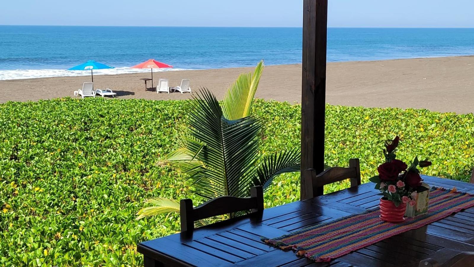 Hotel Hawaian Paradise هاواي المظهر الخارجي الصورة