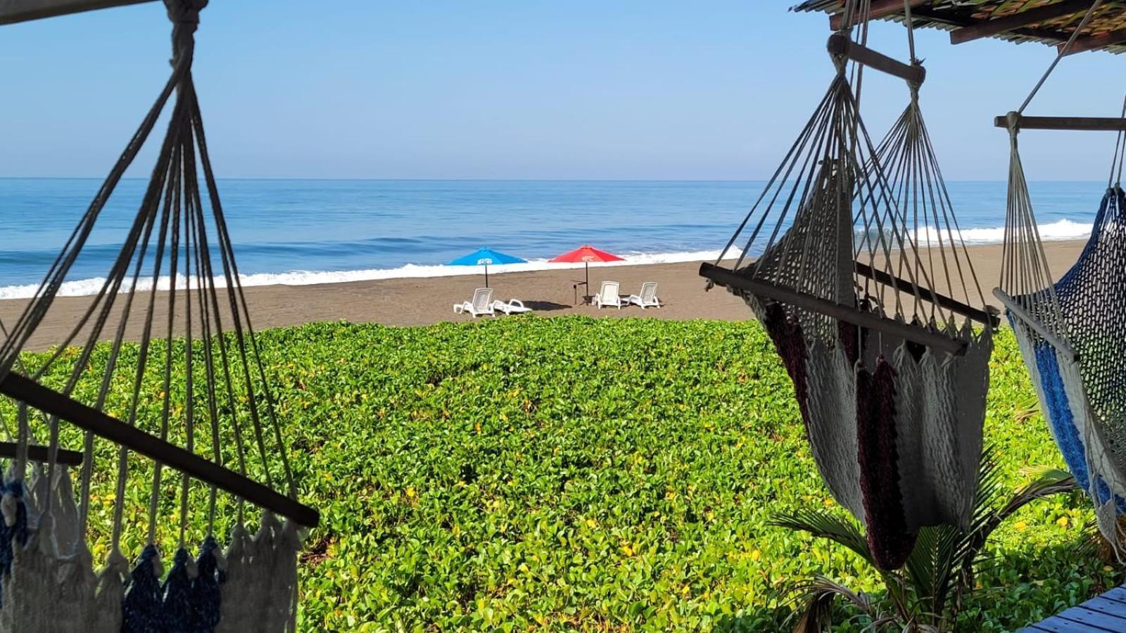 Hotel Hawaian Paradise هاواي المظهر الخارجي الصورة