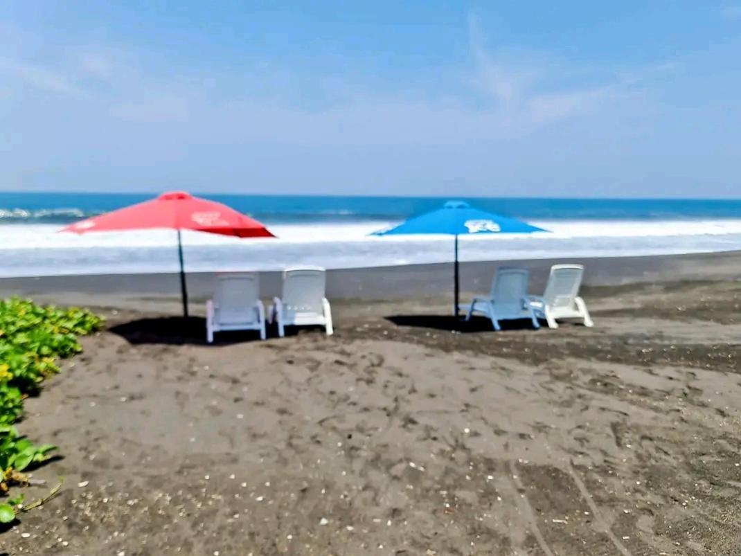 Hotel Hawaian Paradise هاواي المظهر الخارجي الصورة