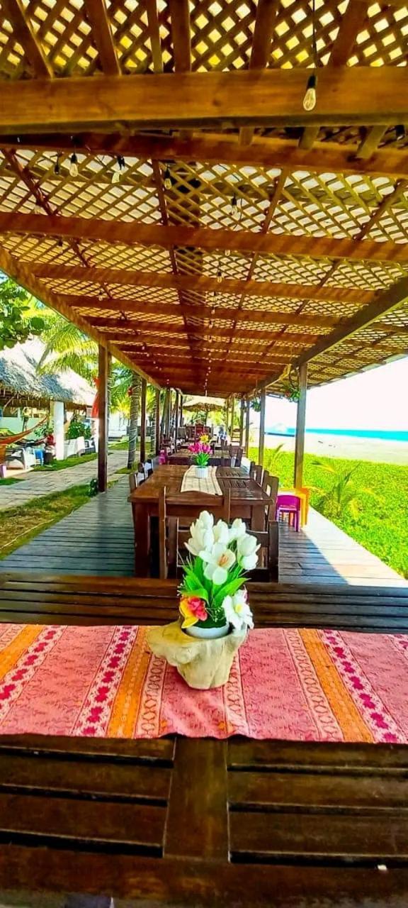 Hotel Hawaian Paradise هاواي المظهر الخارجي الصورة