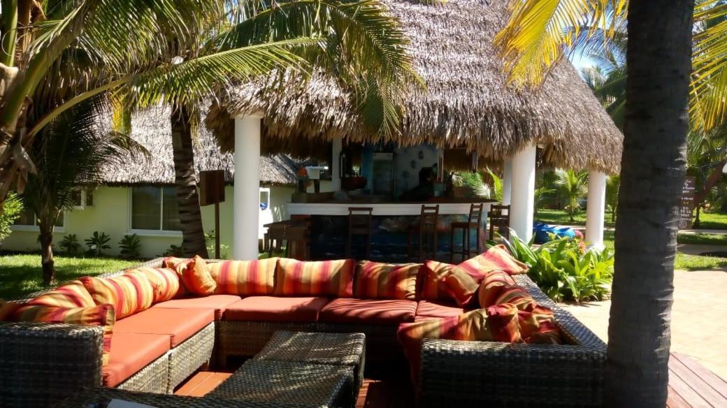 Hotel Hawaian Paradise هاواي المظهر الخارجي الصورة